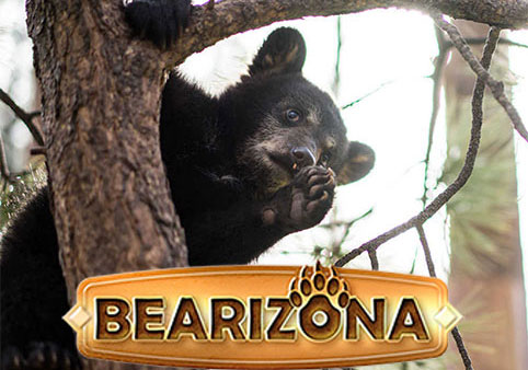 Attractions Near Grand Canyon