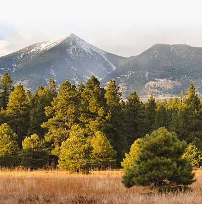 Flagstaff, Arizona